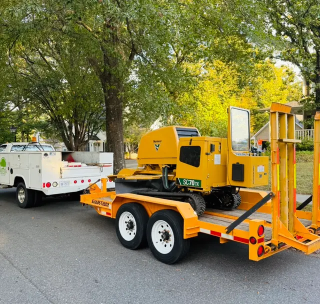 Green Oak Tree Experts — photo from the business 3
