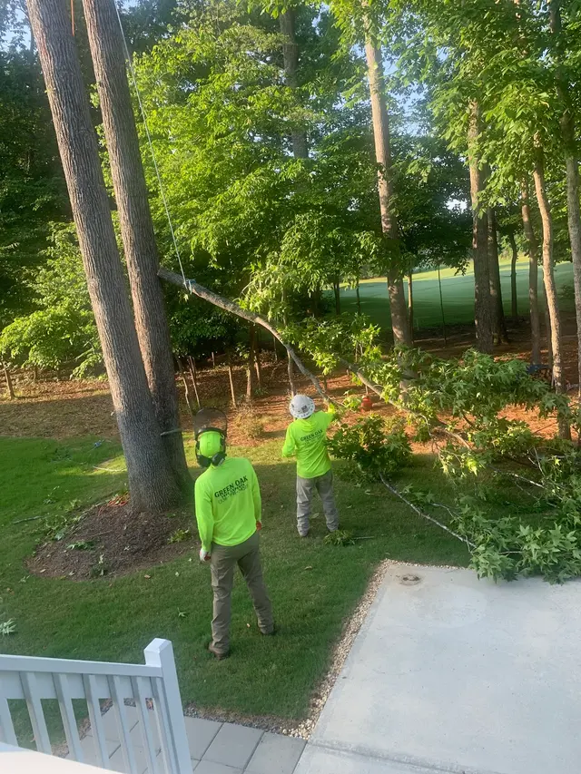 Customer photo from Robert's review
