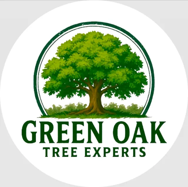 Customer photo of work by Green Oak Tree Experts, from John Eastep's review
