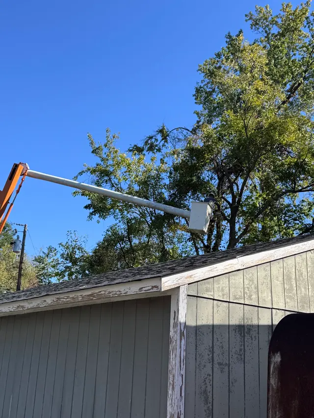 Customer photo of work by Triad Tree Removal, from Gerald Williams's review
