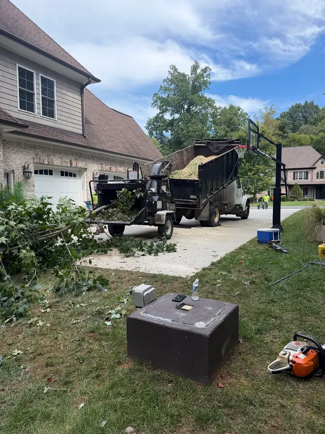 Triad Tree Removal — photo from the business 10