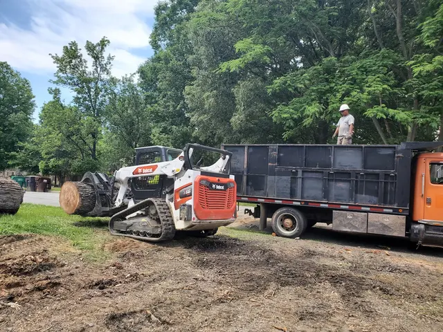 Triad Tree Removal — photo from the business 12