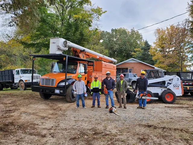 Triad Tree Removal — photo from the business 1