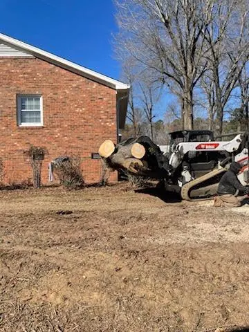 Triad Tree Removal — photo from the business 8