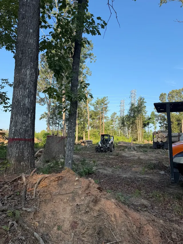 Triad Tree Removal — photo from the business 9