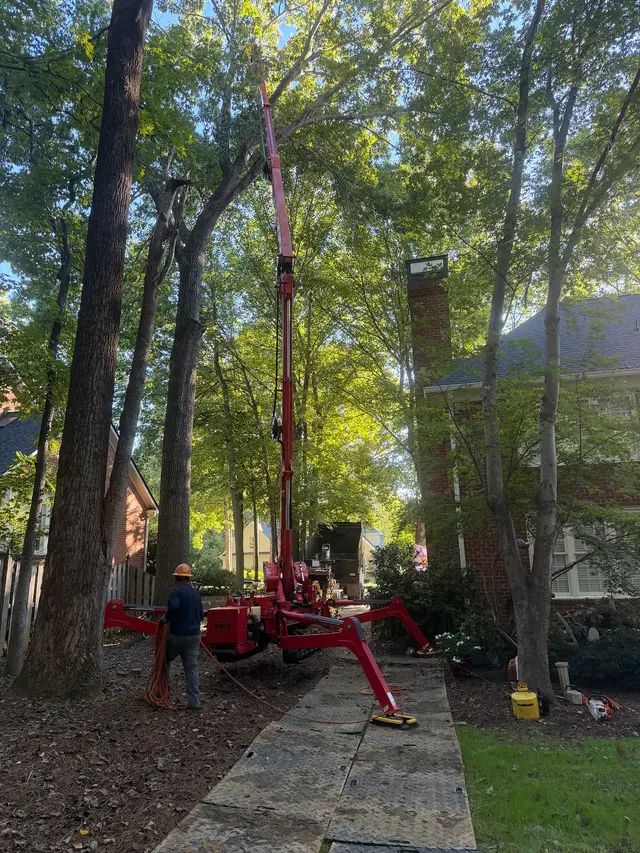 Triad Tree Removal — photo from the business 5