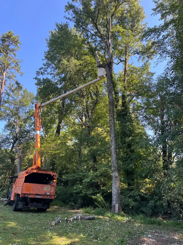 Triad Tree Removal — photo from the business 2