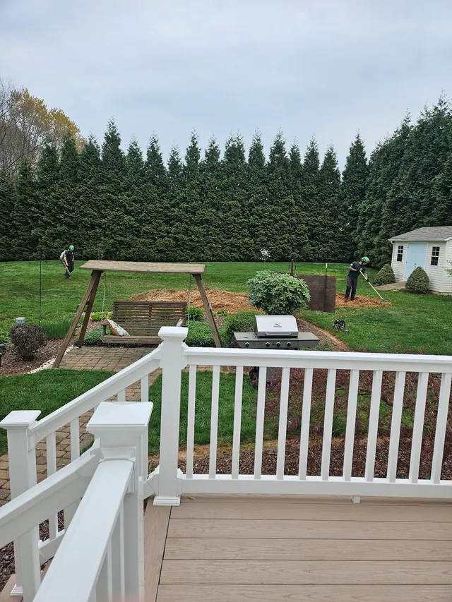 Dillon Tree Service — customer photo 10