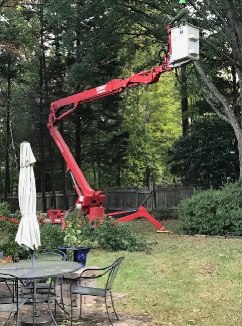 Dillon Tree Service — customer photo 4