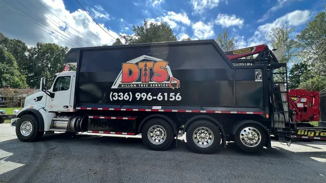 Dillon Tree Service — photo from the business 1