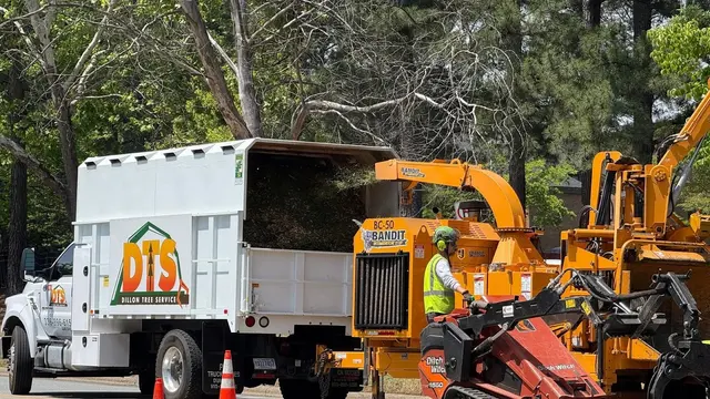 Dillon Tree Service — photo from the business 3