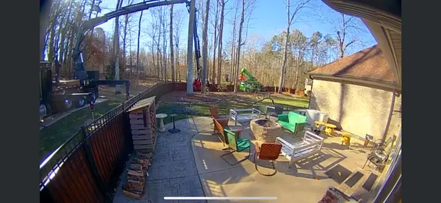 Dillon Tree Service — customer photo 8