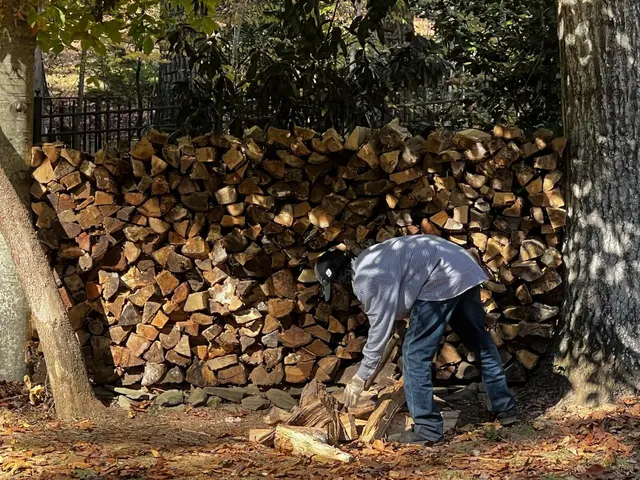 Shelton Tree Service — customer photo 12