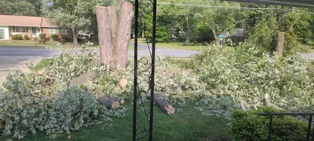 Shelton Tree Service — customer photo 6