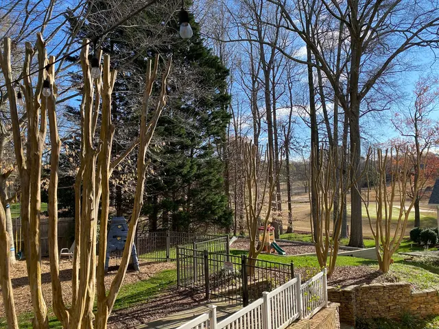 Shelton Tree Service — customer photo 10