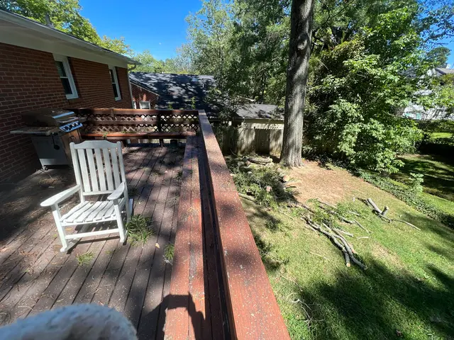 Shelton Tree Service — customer photo 5