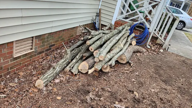 Shelton Tree Service — customer photo 3