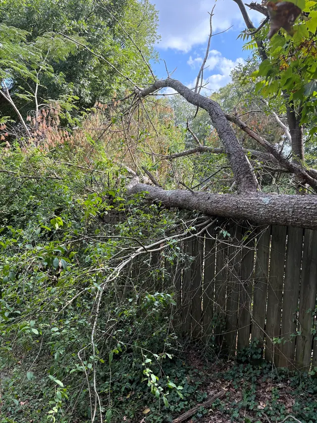 Penny's Tree Service — photo from the business 6