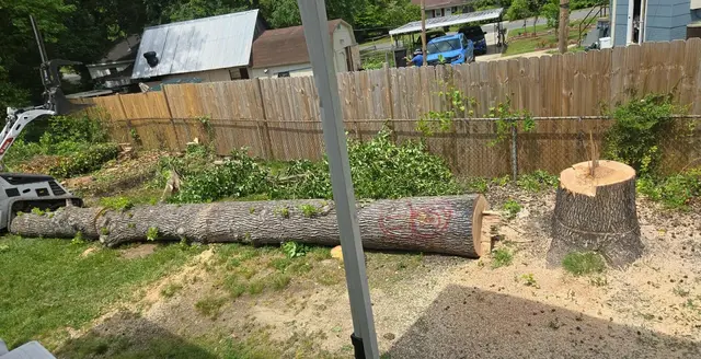 Customer photo of work by Penny's Tree Service, from Jason Wiley (Let the Torah Speak)'s review