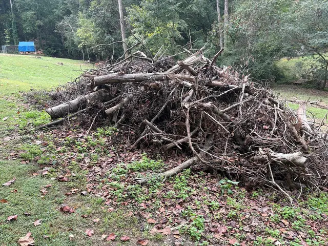 Penny's Tree Service — photo from the business 3