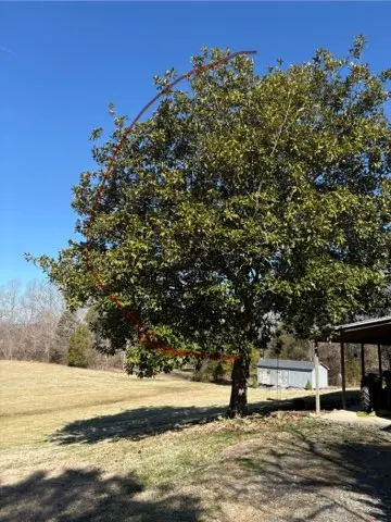 Penny's Tree Service — photo from the business 11