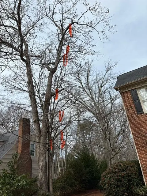 Penny's Tree Service — photo from the business 2