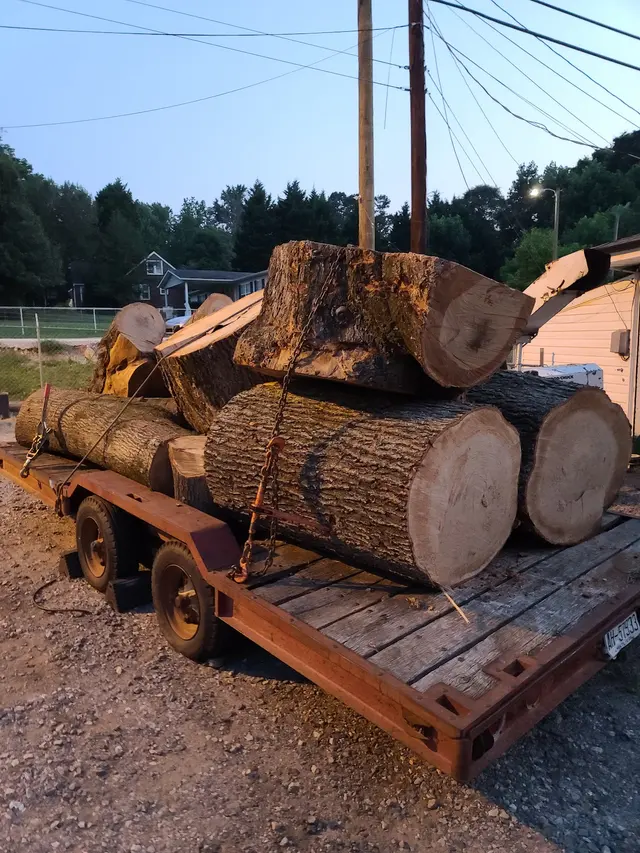 Penny's Tree Service — photo from the business 9