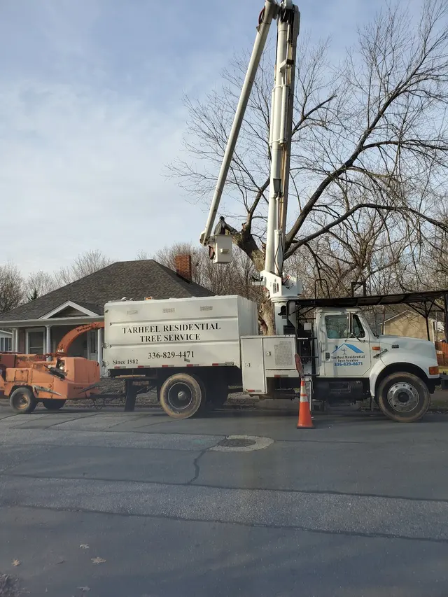 Penny's Tree Service — photo from the business 12