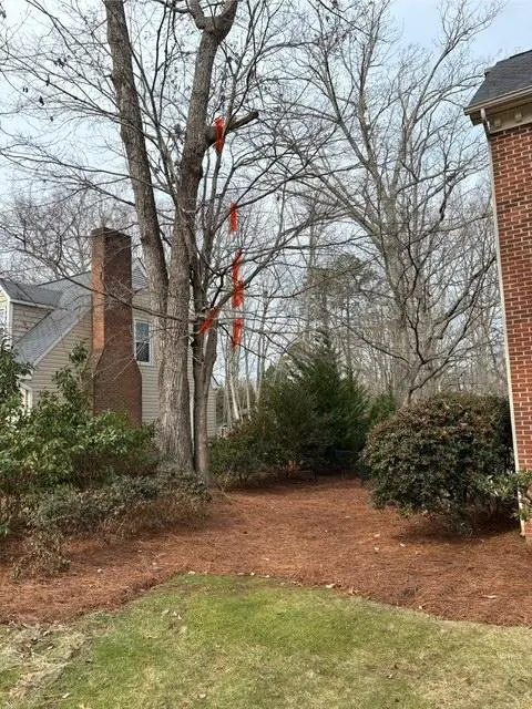 Penny's Tree Service — photo from the business 10