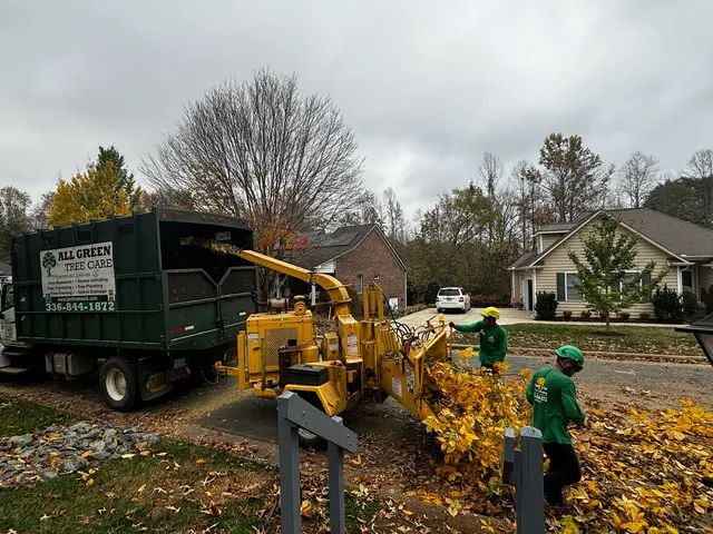 All Green Tree Care Removal and Landscape LLC — photo from the business 4