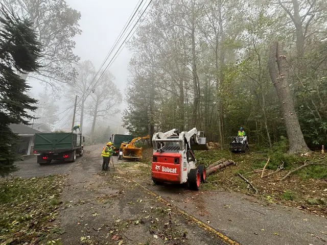 All Green Tree Care Removal and Landscape LLC — photo from the business 7