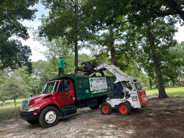 All Green Tree Care Removal and Landscape LLC — photo from the business 2