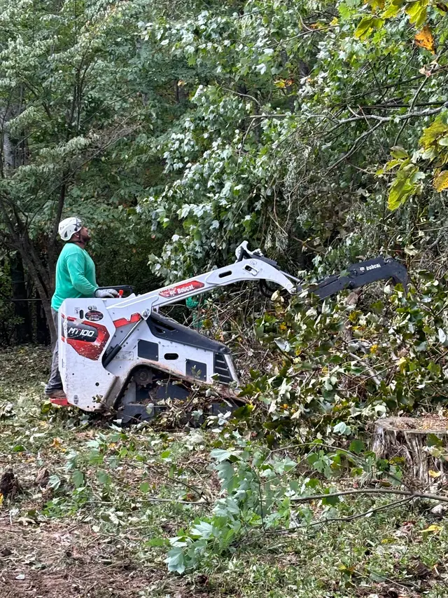 All Green Tree Care Removal and Landscape LLC — photo from the business 8