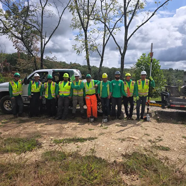 All Green Tree Care Removal and Landscape LLC — photo from the business 10