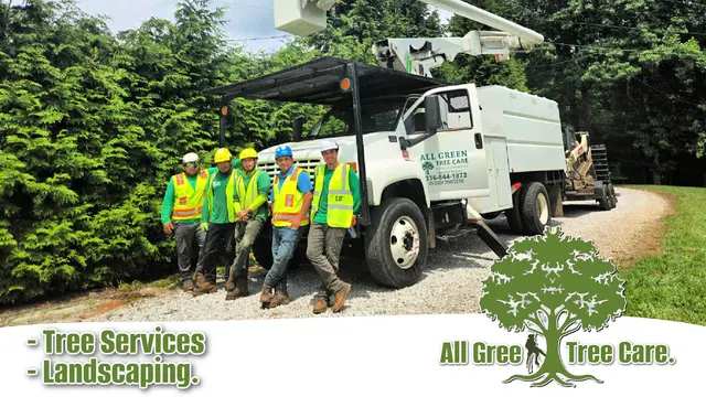 All Green Tree Care Removal and Landscape LLC — photo from the business 1