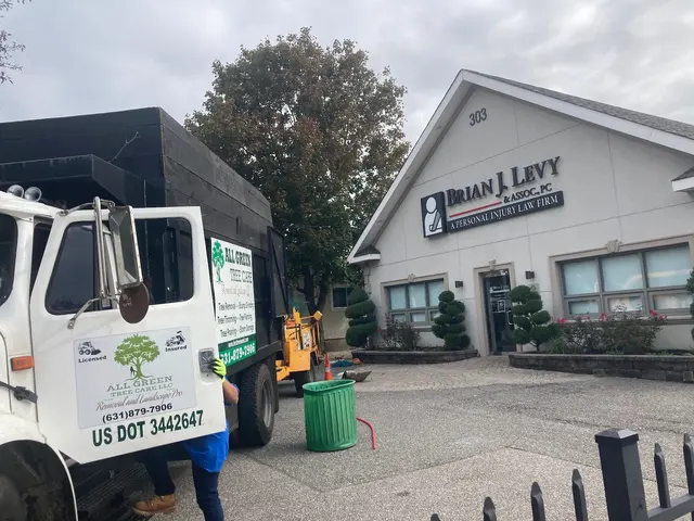 All Green Tree Care Removal and Landscape LLC — photo from the business 9
