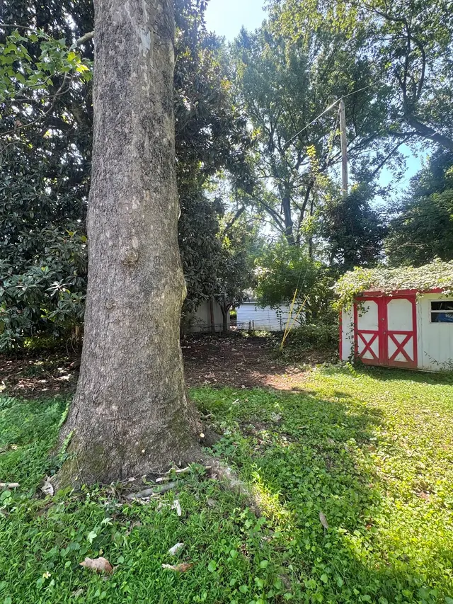 Lee's Tree Services, NC — photo from the business 6