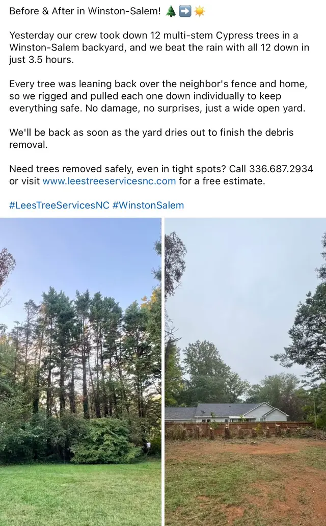 Lee's Tree Services, NC — photo from the business 12
