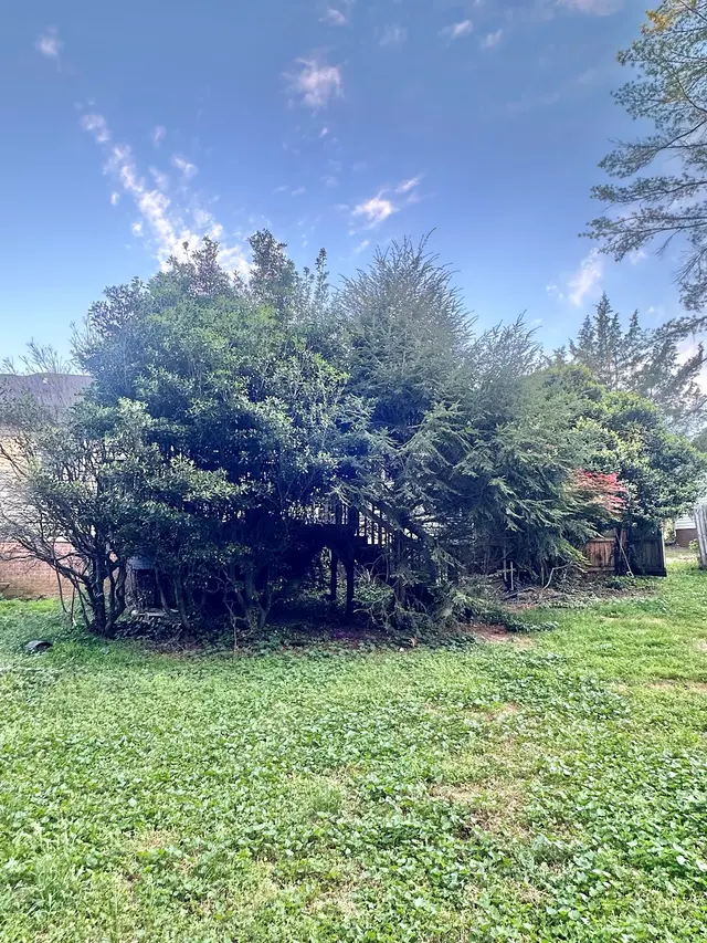 Lee's Tree Services, NC — photo from the business 10