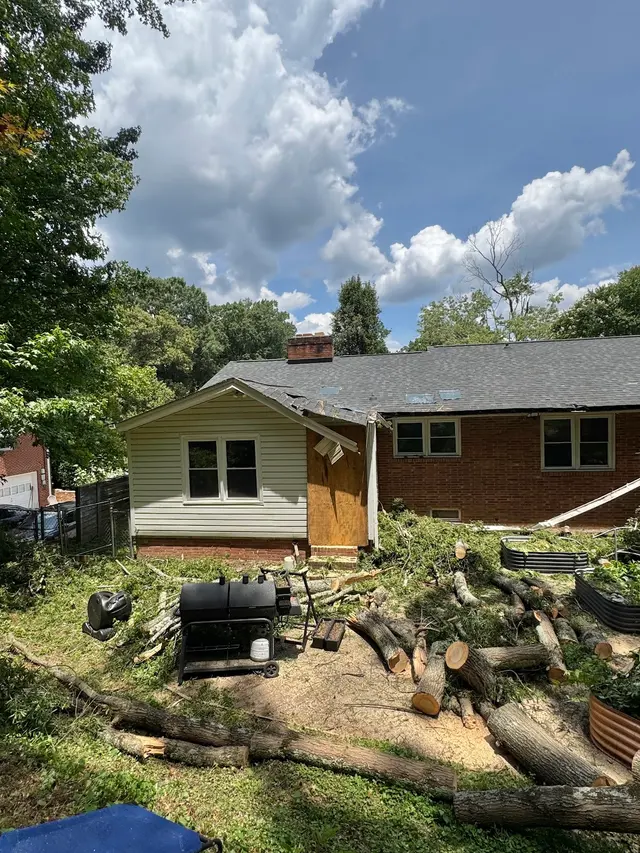 Lee's Tree Services, NC — photo from the business 3