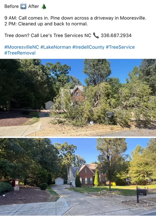 Lee's Tree Services, NC — photo from the business 2
