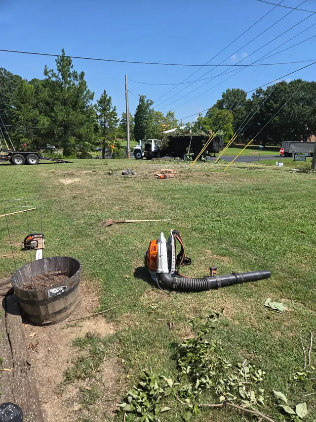 Ingram’s Tree Service — customer photo 2