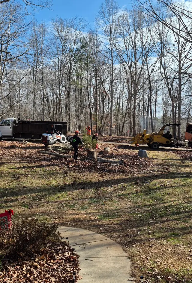 Ingram’s Tree Service — customer photo 1