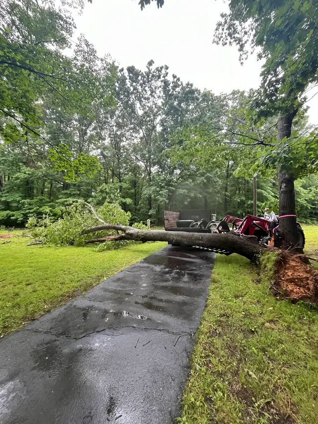 Ingram’s Tree Service — photo from the business 6