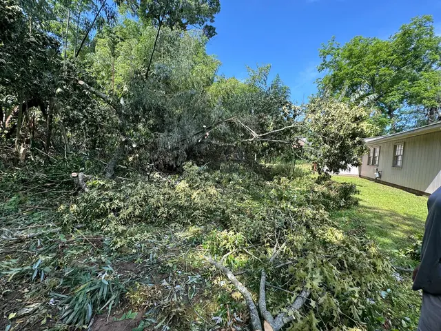 Ingram’s Tree Service — photo from the business 4