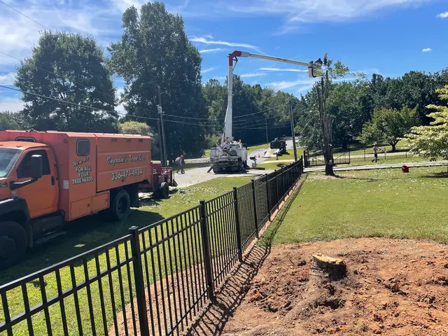 Ingram’s Tree Service — customer photo 5