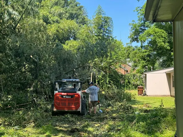 Ingram’s Tree Service — photo from the business 12