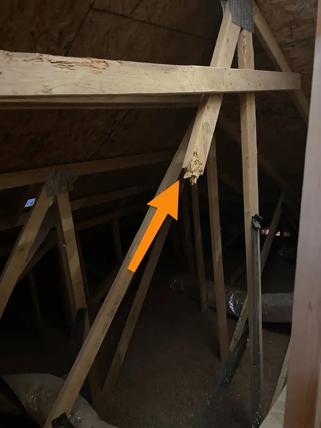 Tip of Texas Property Inspections — photo from the business 7