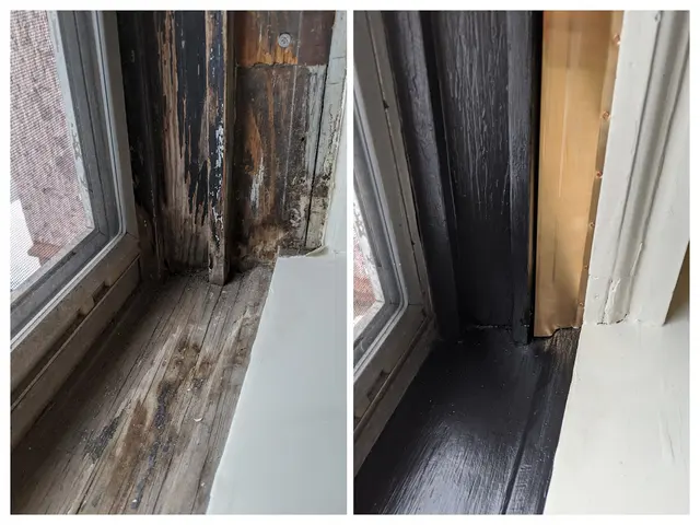 Hayes Window Restoration — photo from the business 3