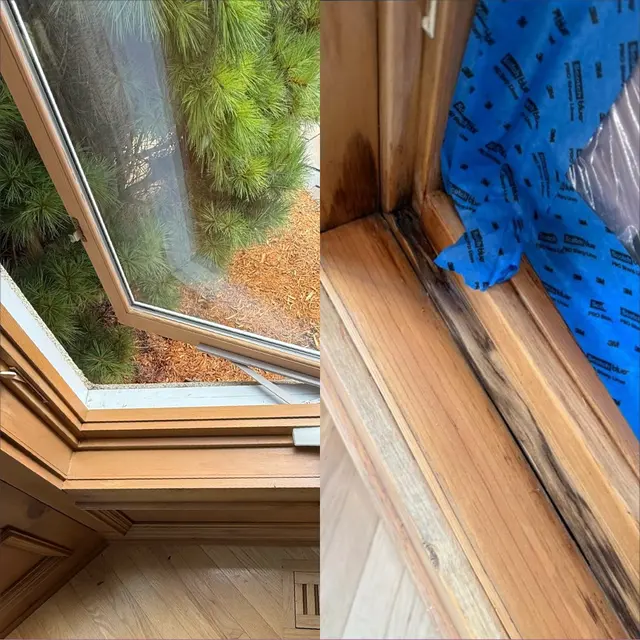 Pro Window Repair & Service — photo from the business 5